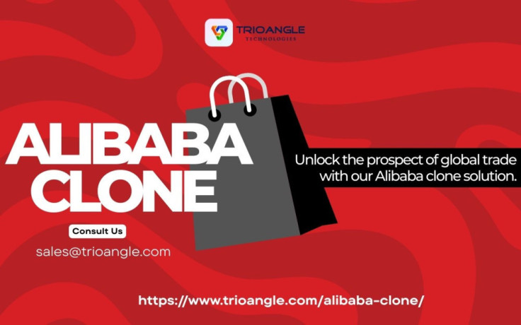 launch-your-own-global-b2b-marketplace-with-an-alibaba-clone-big-0